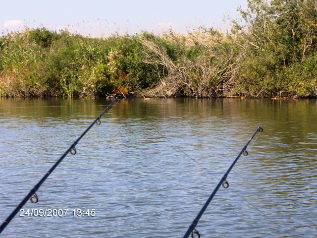 delta rosu 2007 - picture-177.jpg